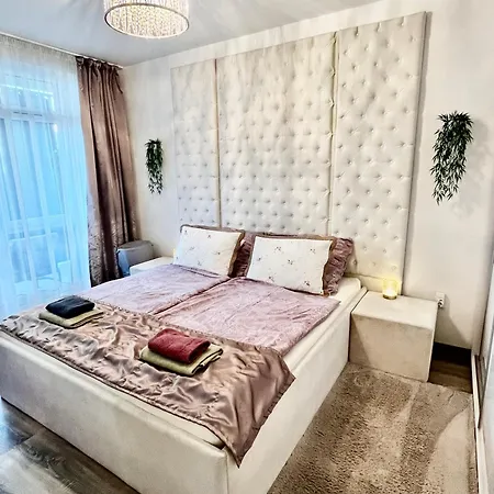 Violet Superior Nyíregyháza