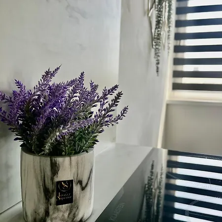 Violet Superior Apartment